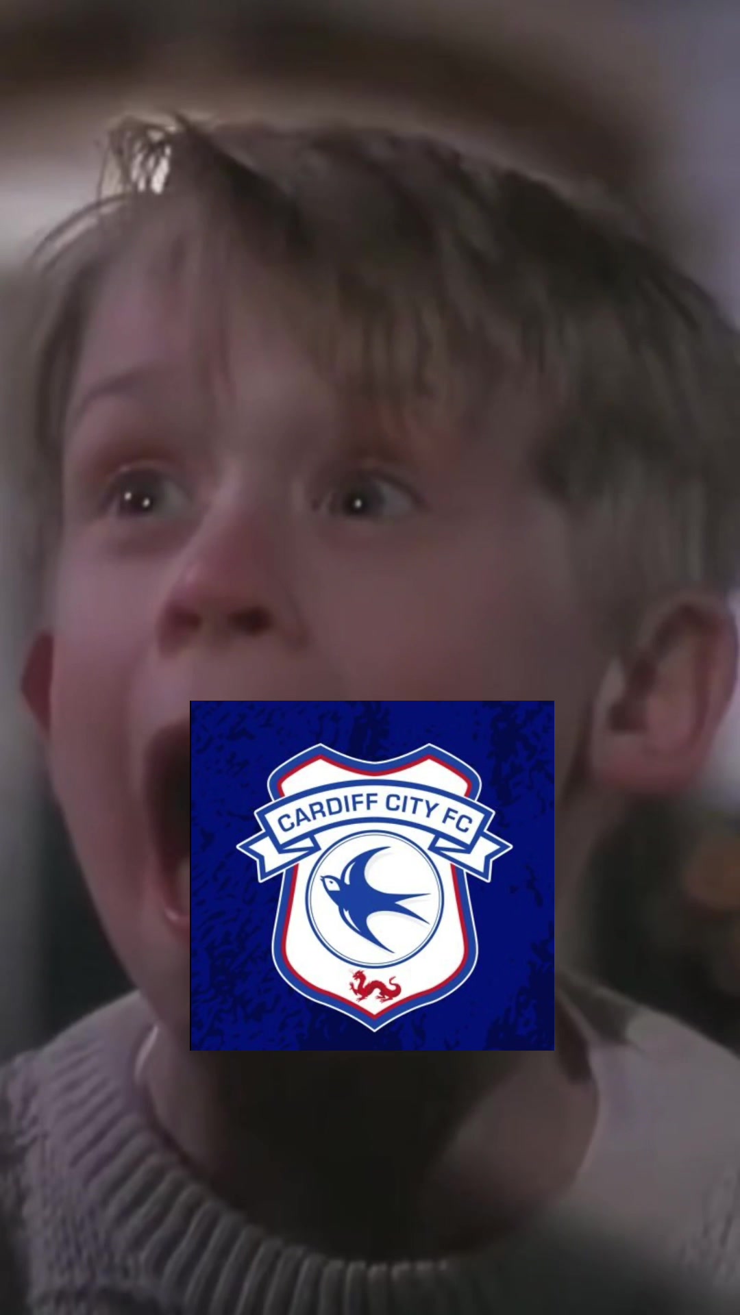 @Bluebirdultras