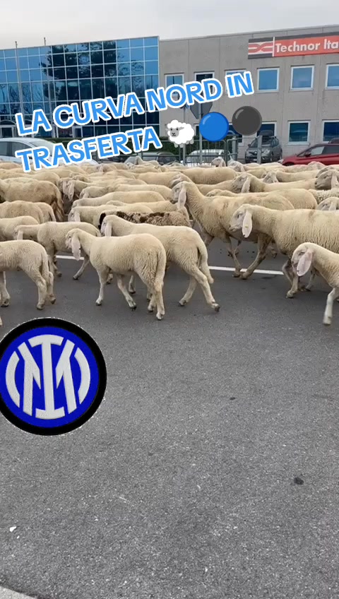 @DANIELE 🔴⚫