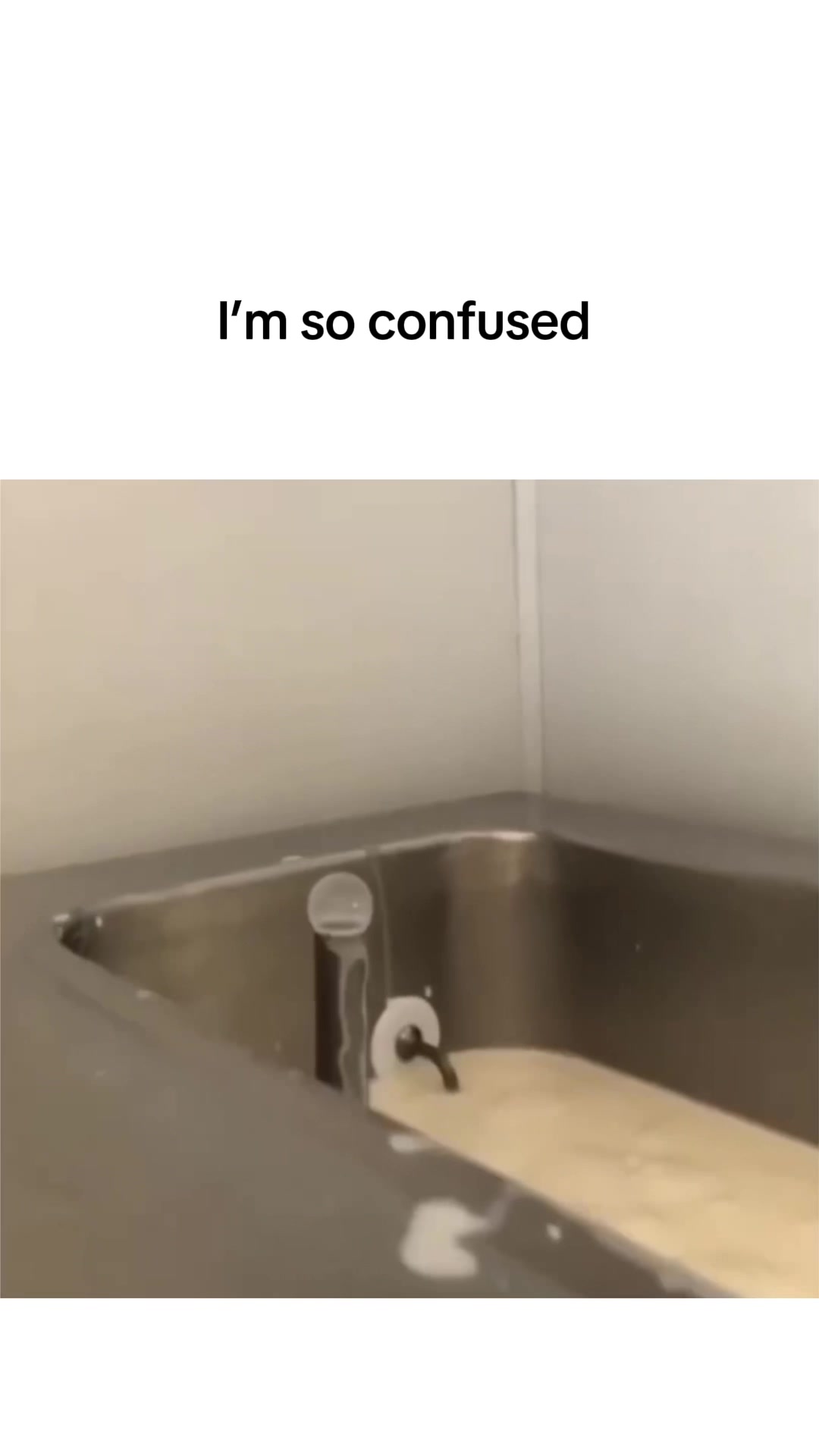 @loonymemes