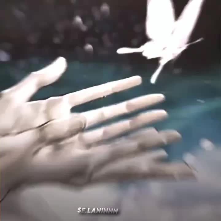 @𝙃𝙪𝙖𝙡𝙞𝙚𝙣💦