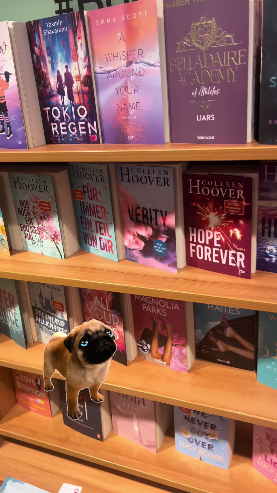 @Tina // Booktok 📚 puglove ❤️