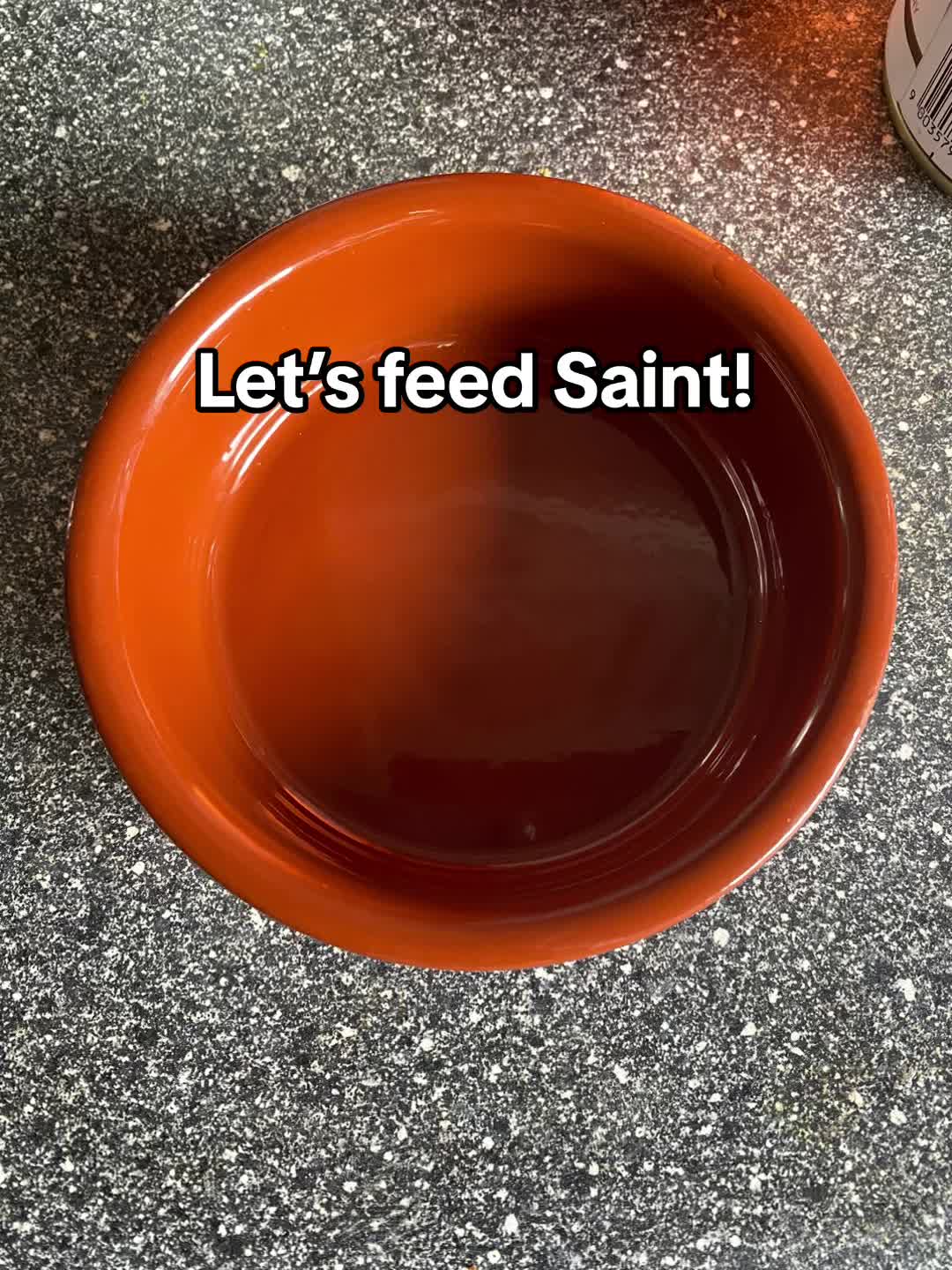 @saint.cat