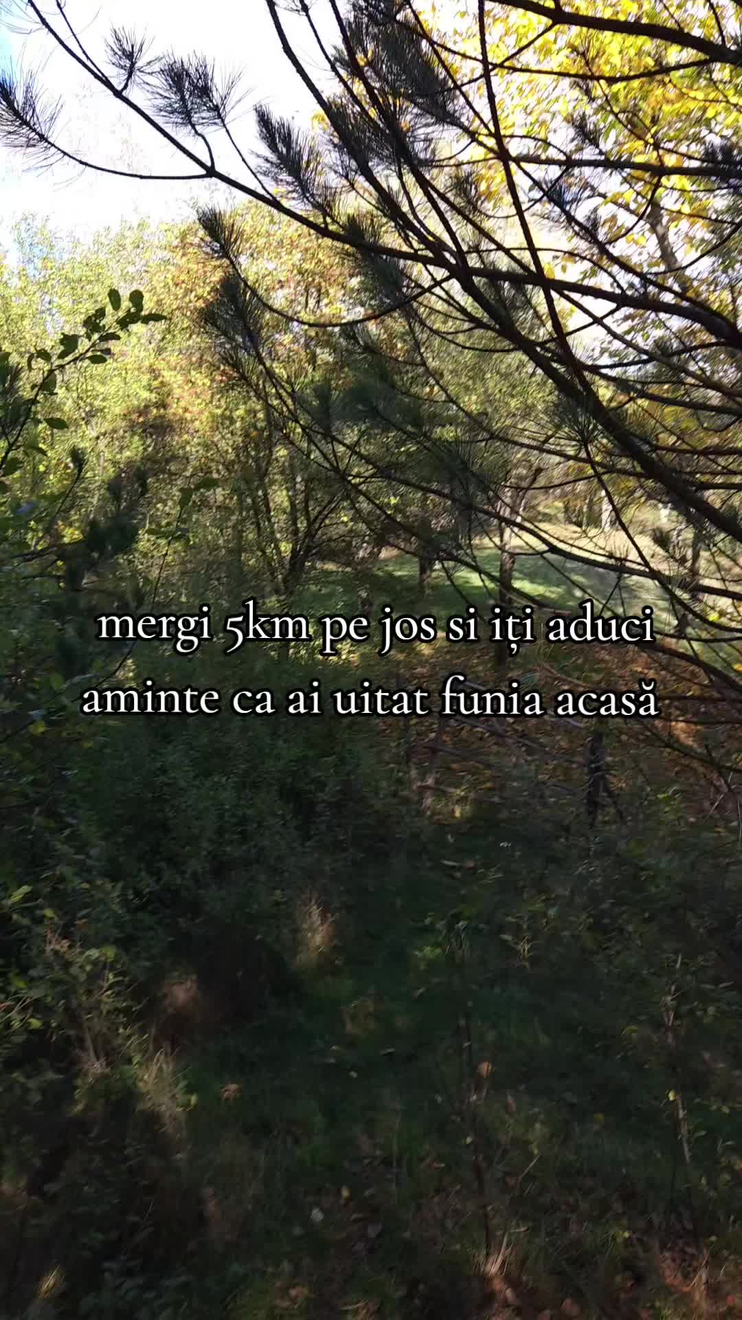 @George Alex