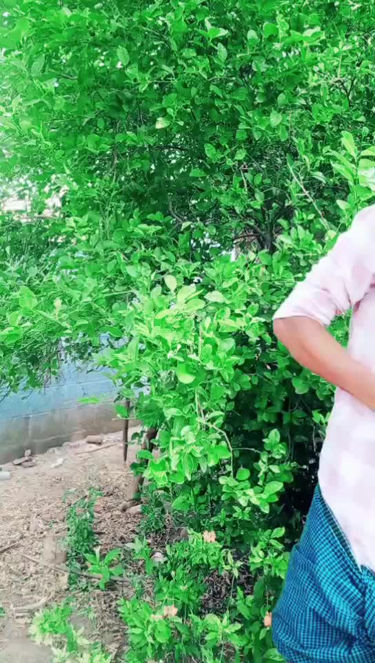 @@chiyanpugal143