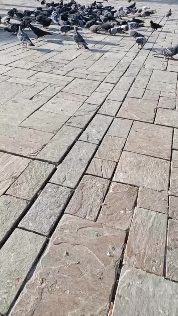 @user14685343199