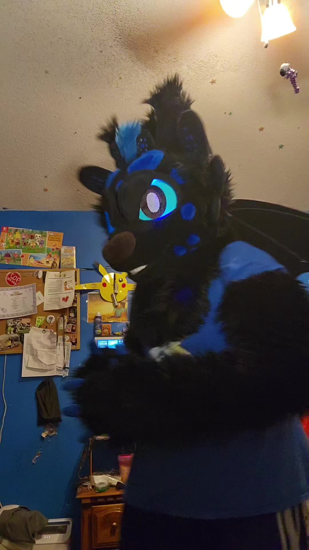 @DashTheNightFuryTaidum