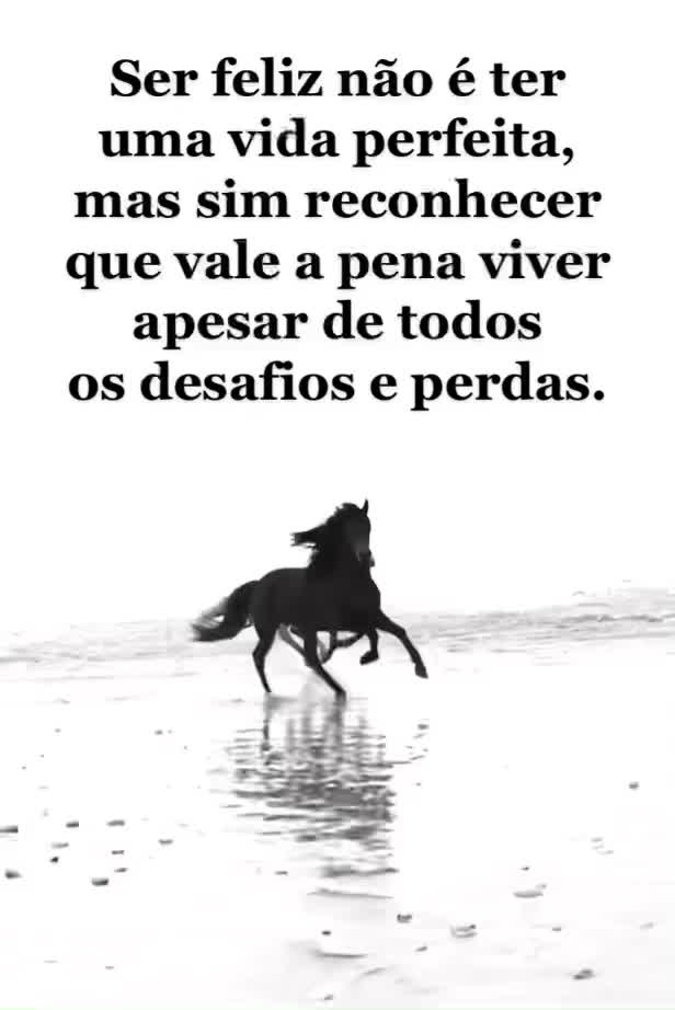 @Marcelo♐️🇧🇷