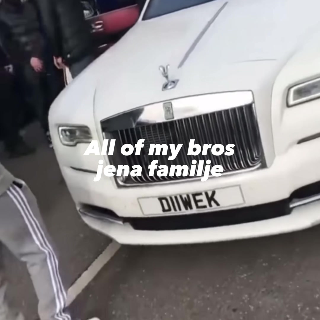 @🐅