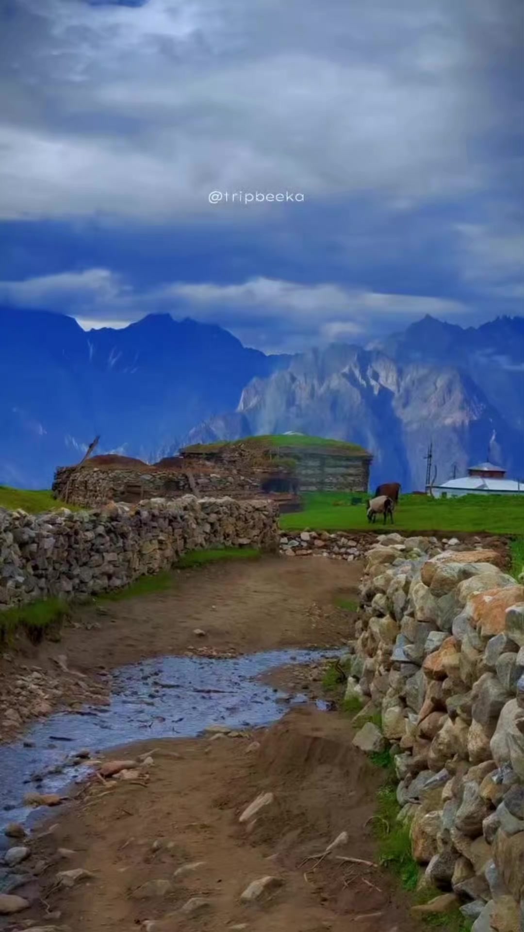 @Travel With Momina