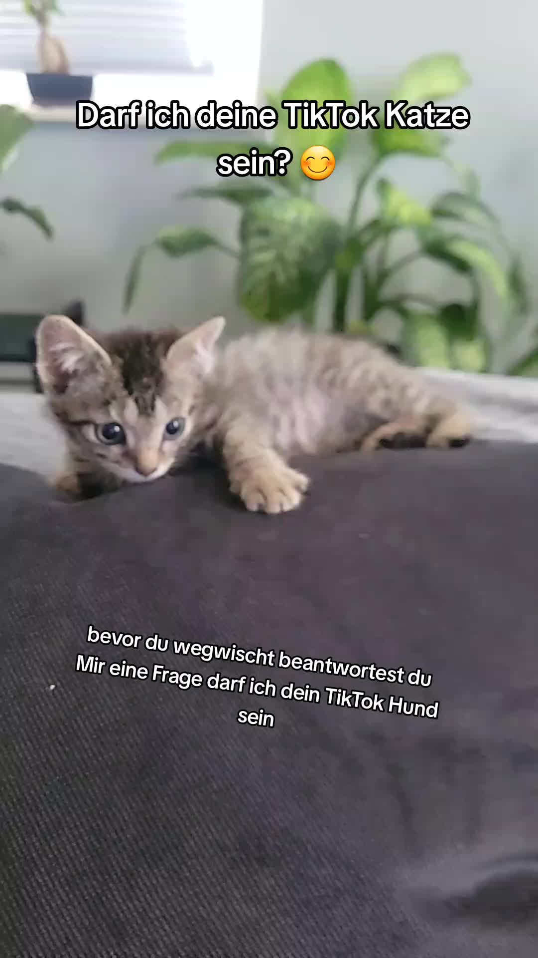 @Dani