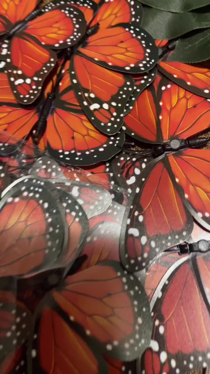 @Daj98