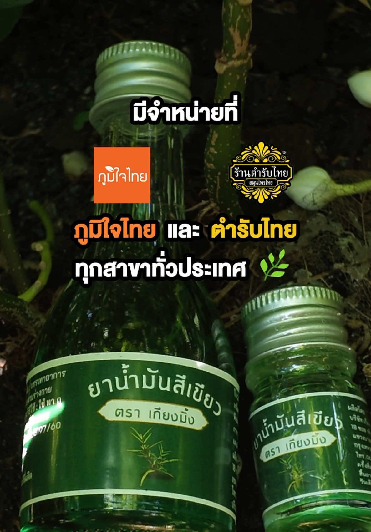 @เกียงมิ้ง เมดดิซิน