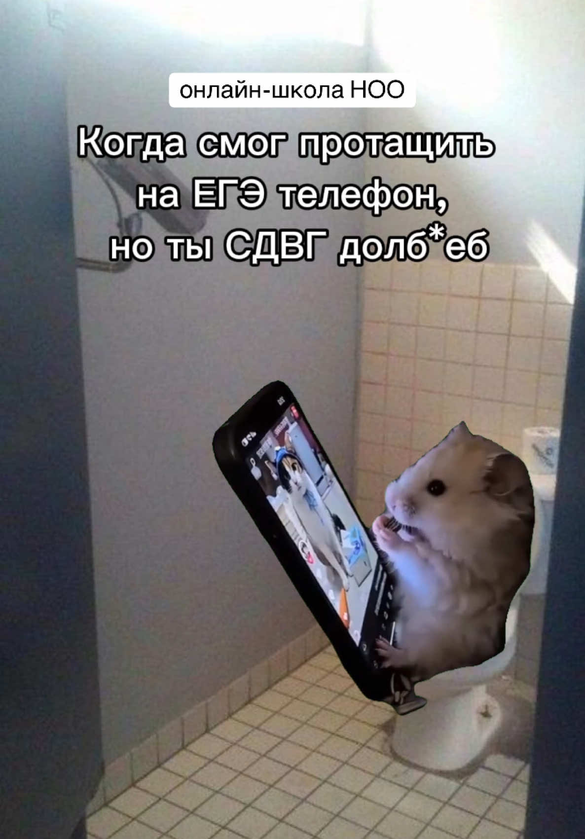 @Асиф Агаев / Биология ЕГЭ