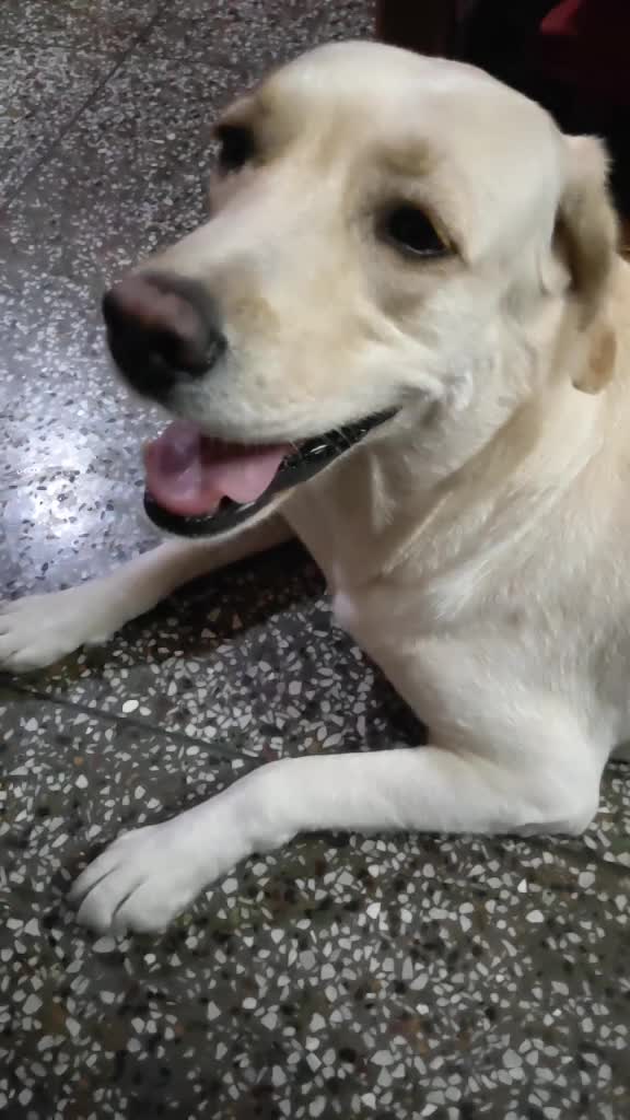 @Pranav Kumar