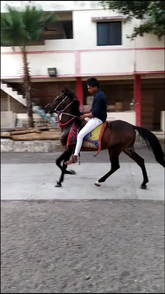 @Pranav_mesvaniya