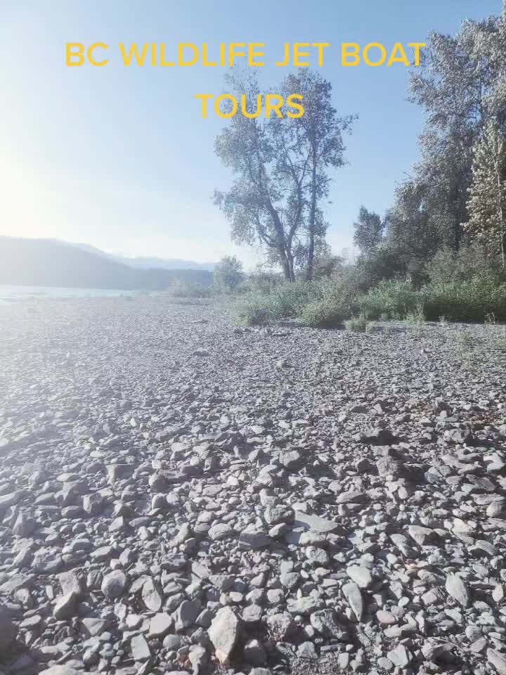@BC WILDLIFE JETBOAT TOURS