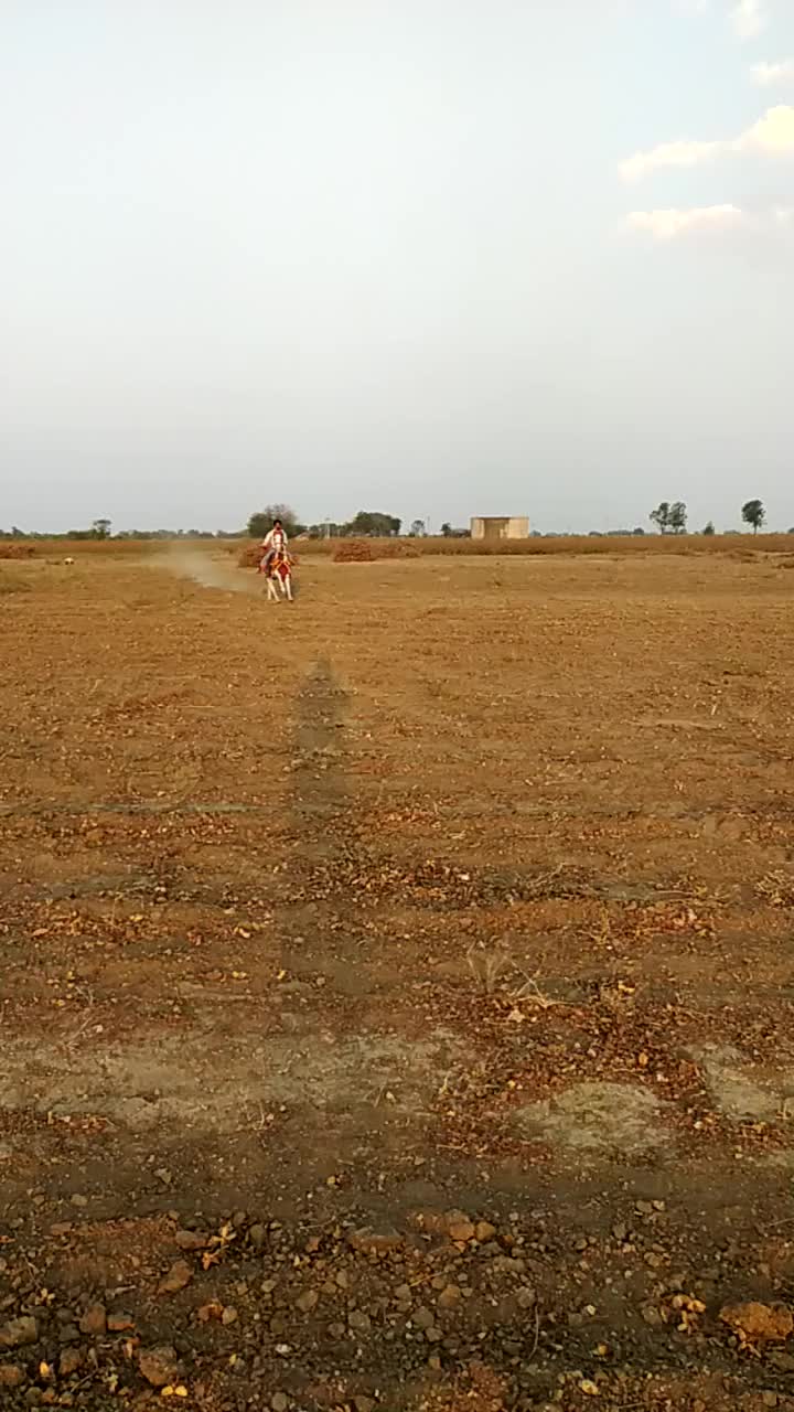@Bhavu_Bharwad