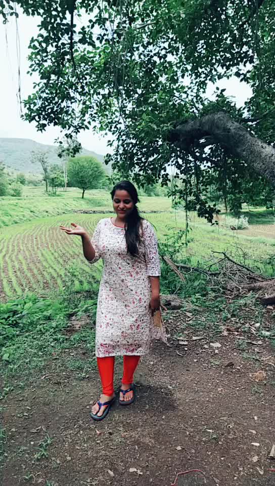 @sakpal0529