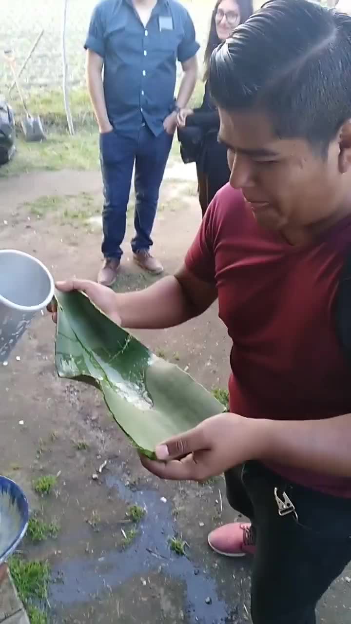 @Ellaesfiesta