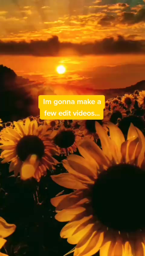 @Google