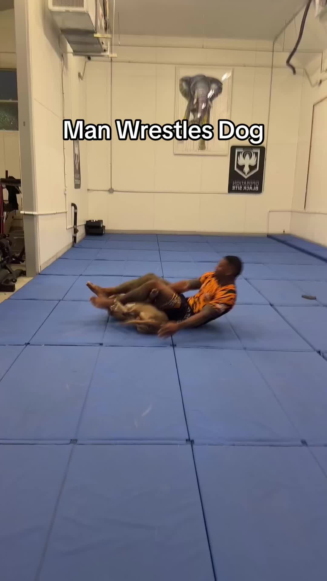 @K9 Kingz