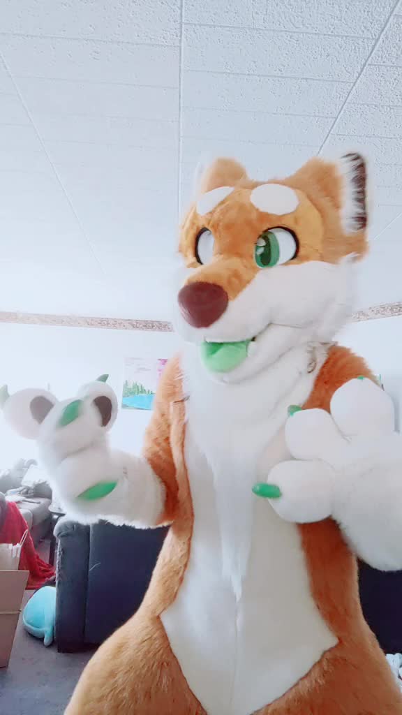@CookieShiba