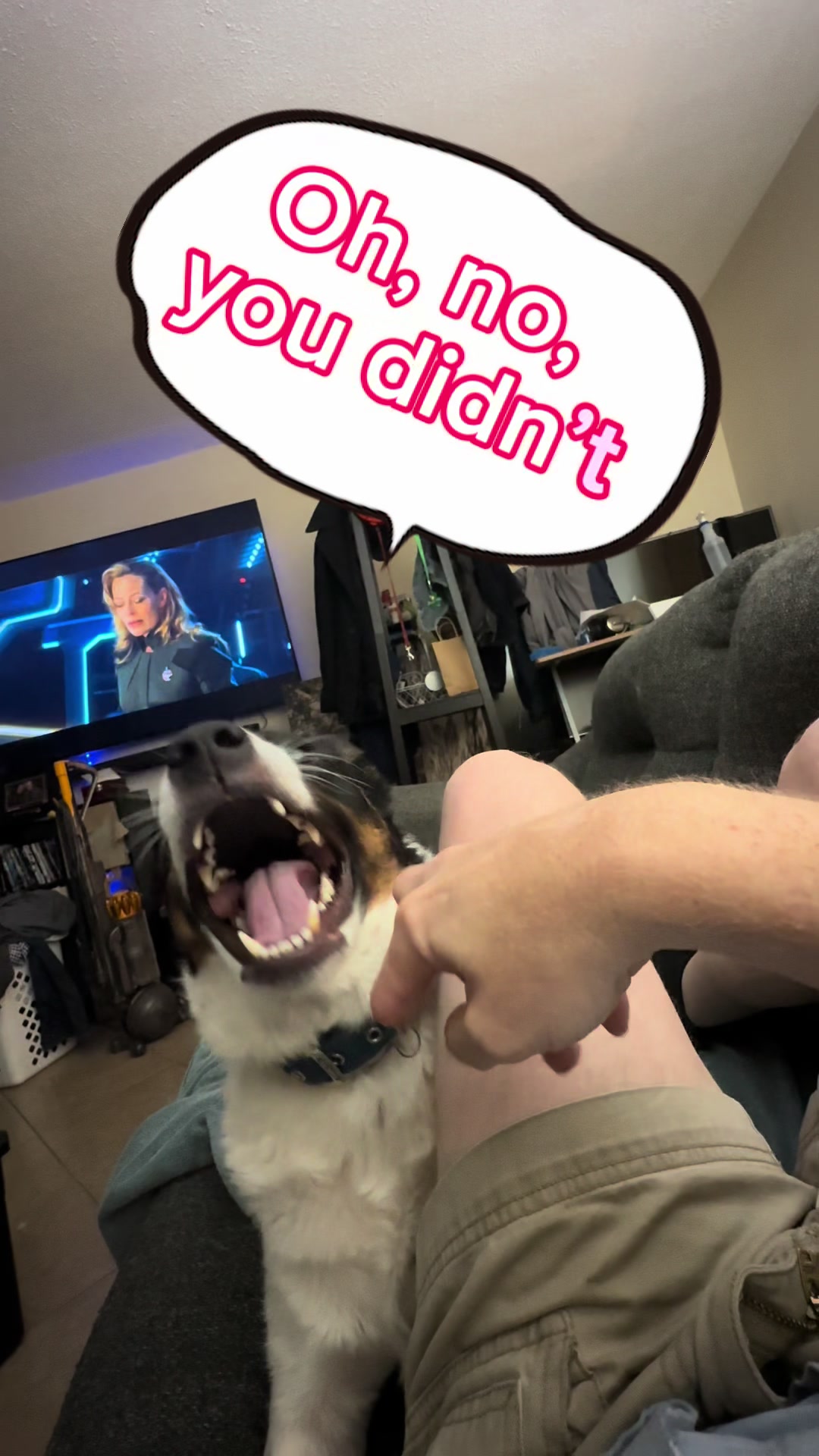 @snottnews