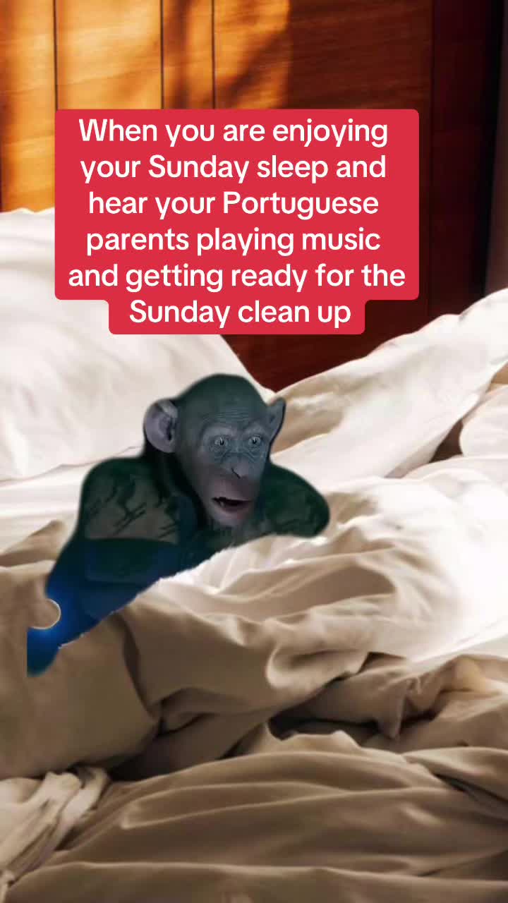 @Rachieoxox