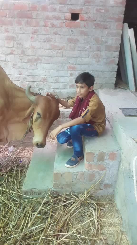@Chetan bhai Bharvad