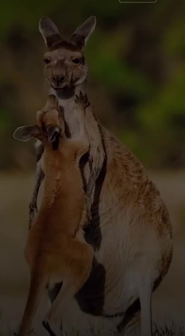 @அழுகைக்காகபிறந்தவள்