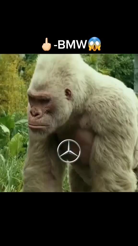 @user80940584493