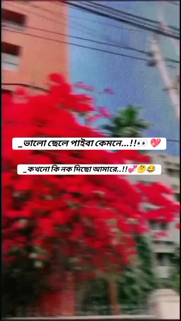 @বিবাহিত ব্যাচেলার 🫣