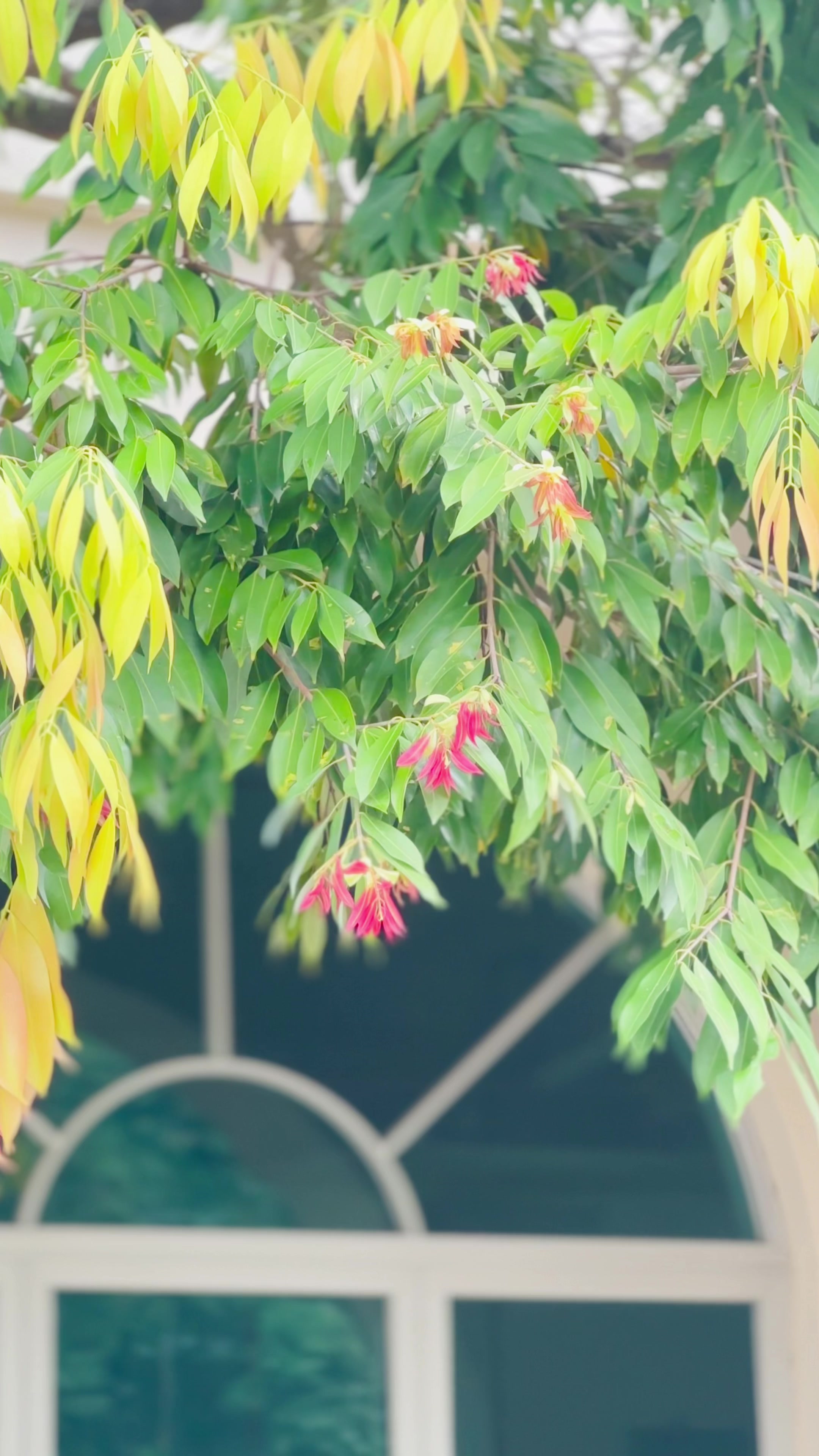 @ᴍᴀᴛᴇsʜ.