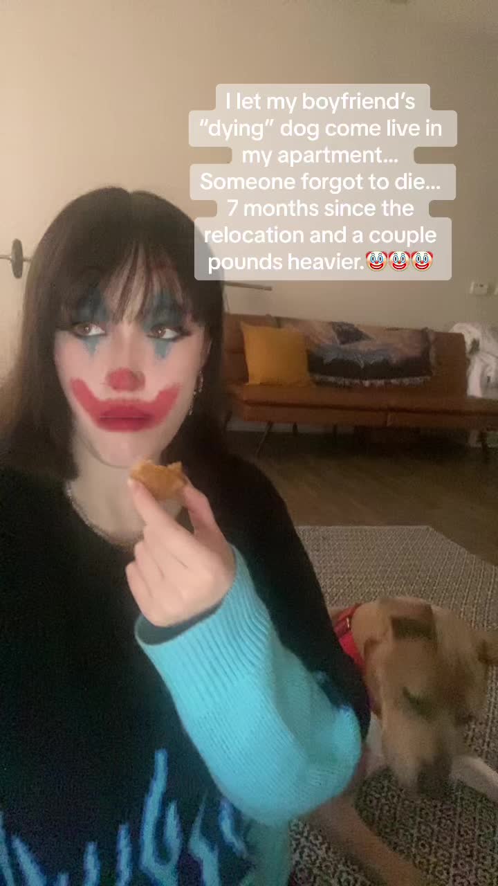 @PuffinCore