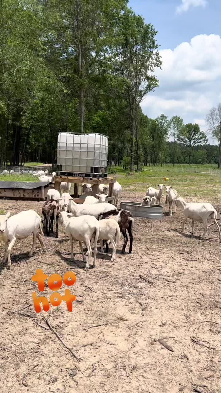 @Total_Farm