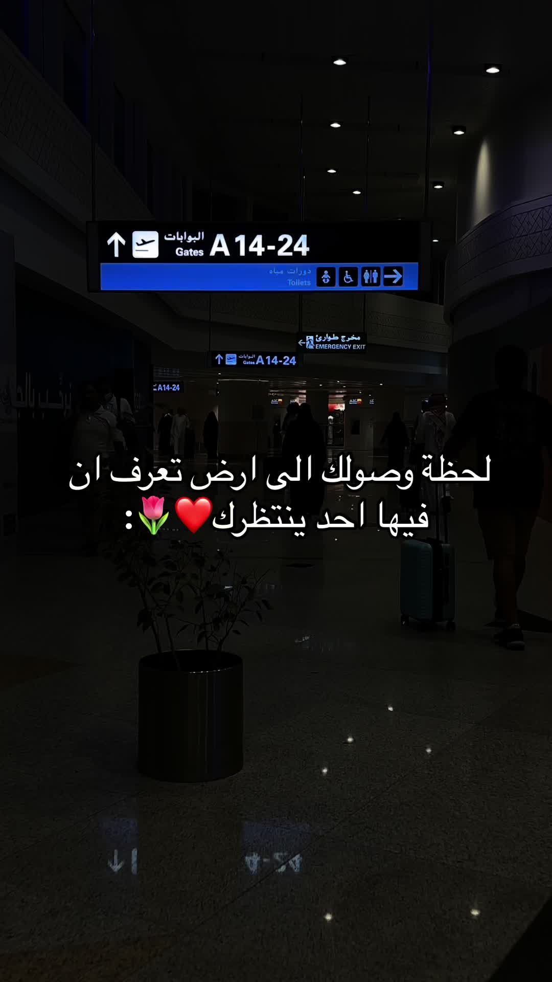 @شيماء