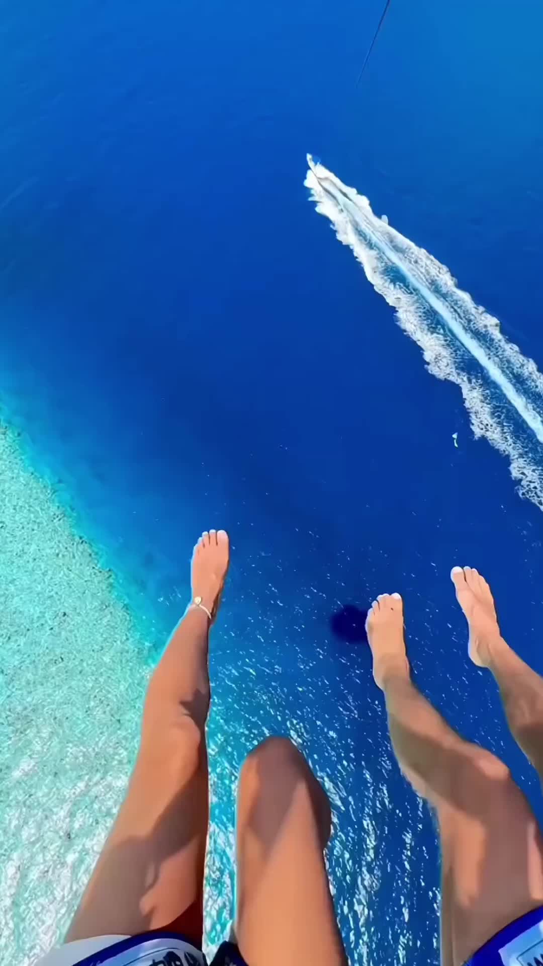 @Traveler