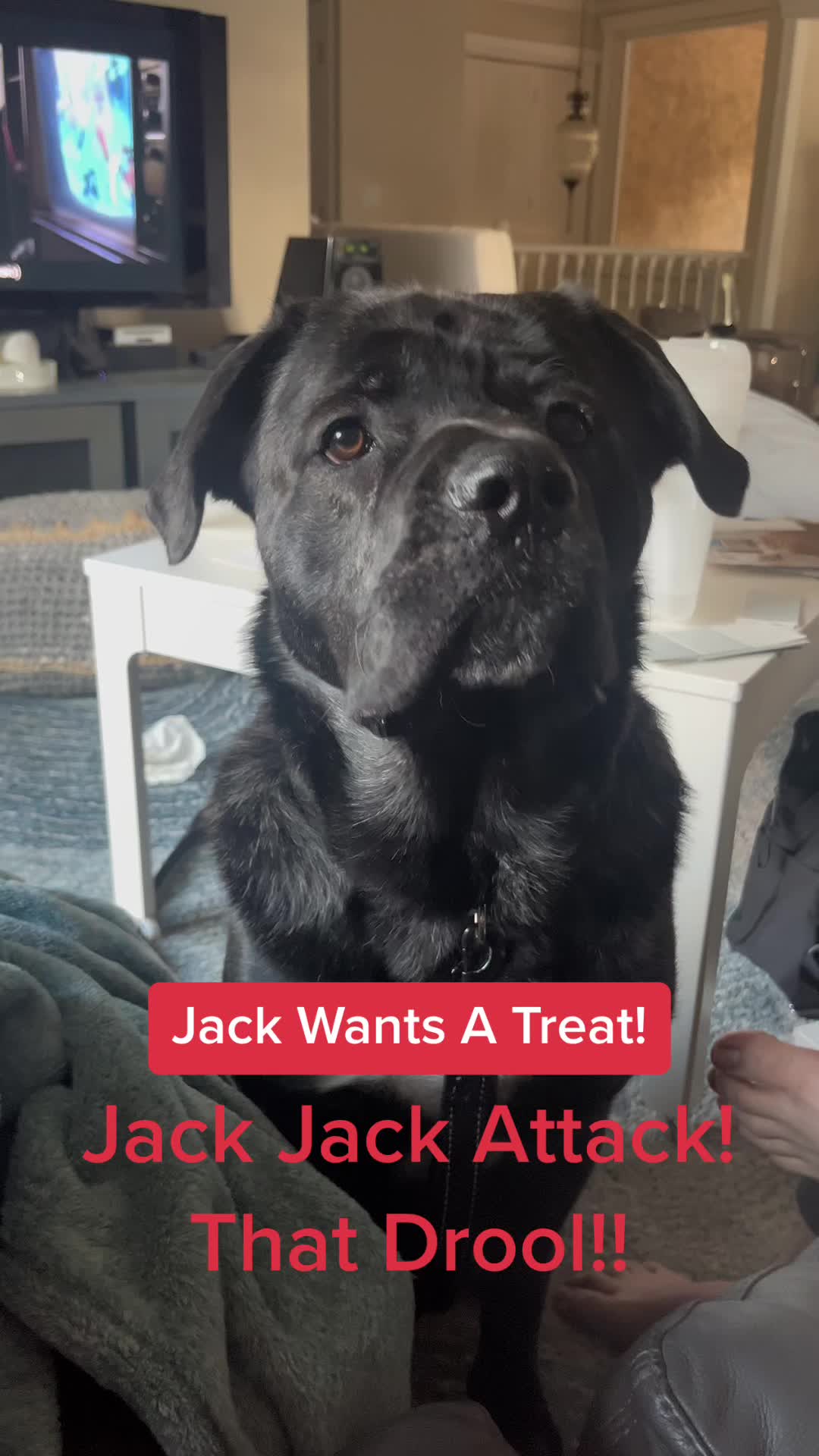 @JackAndJoey