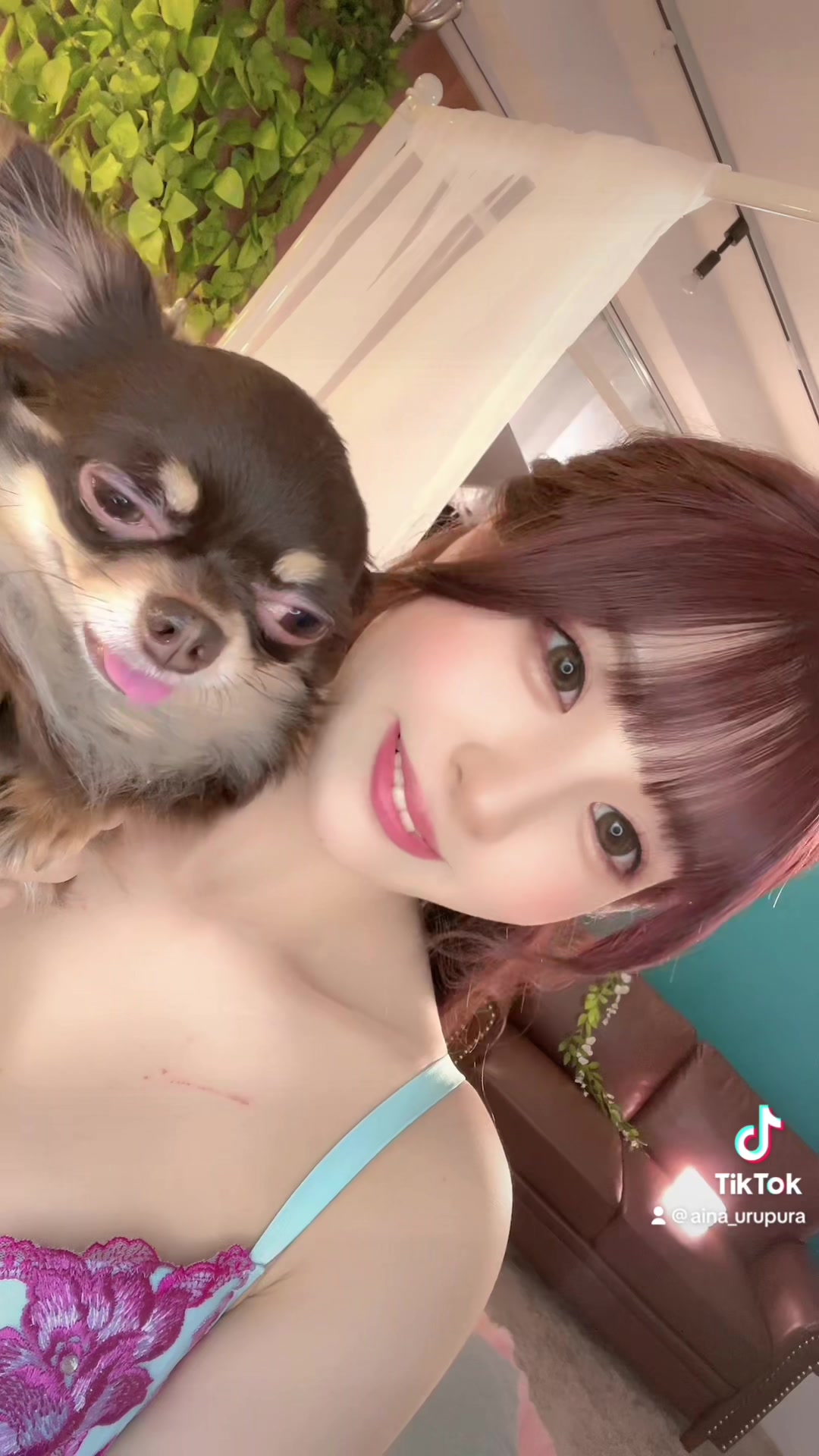 @月野あいな🐶