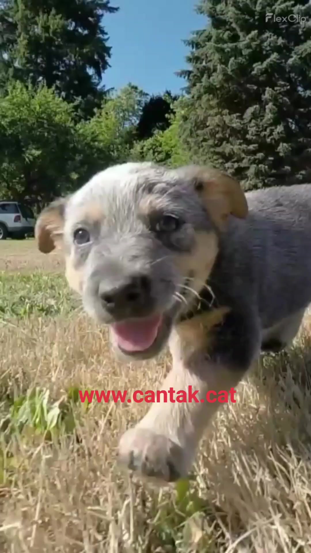 @CanTak