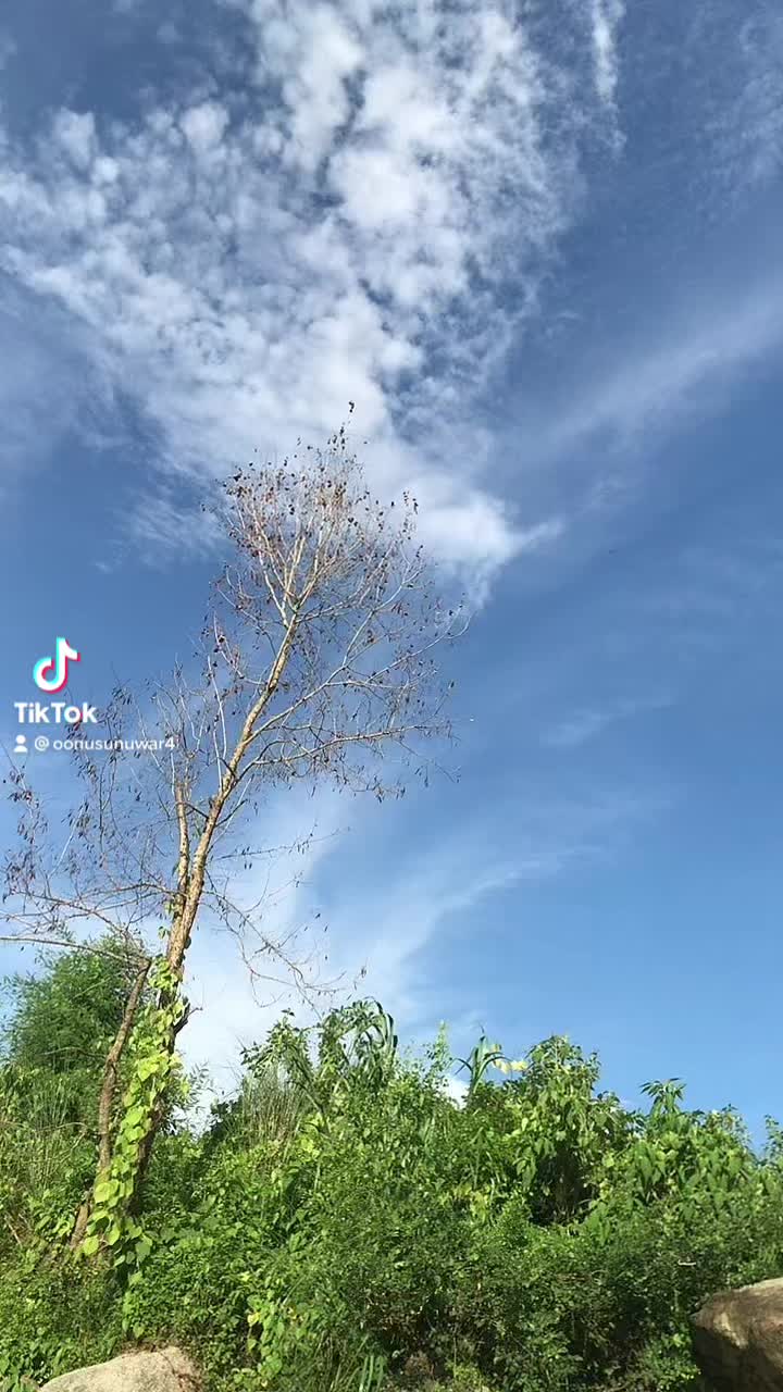 @Oonu Sunuwar