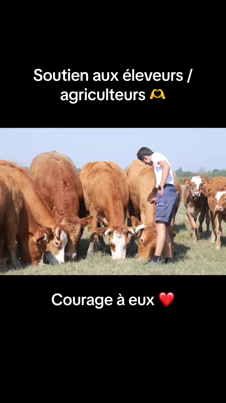 @Islais T Une Fois