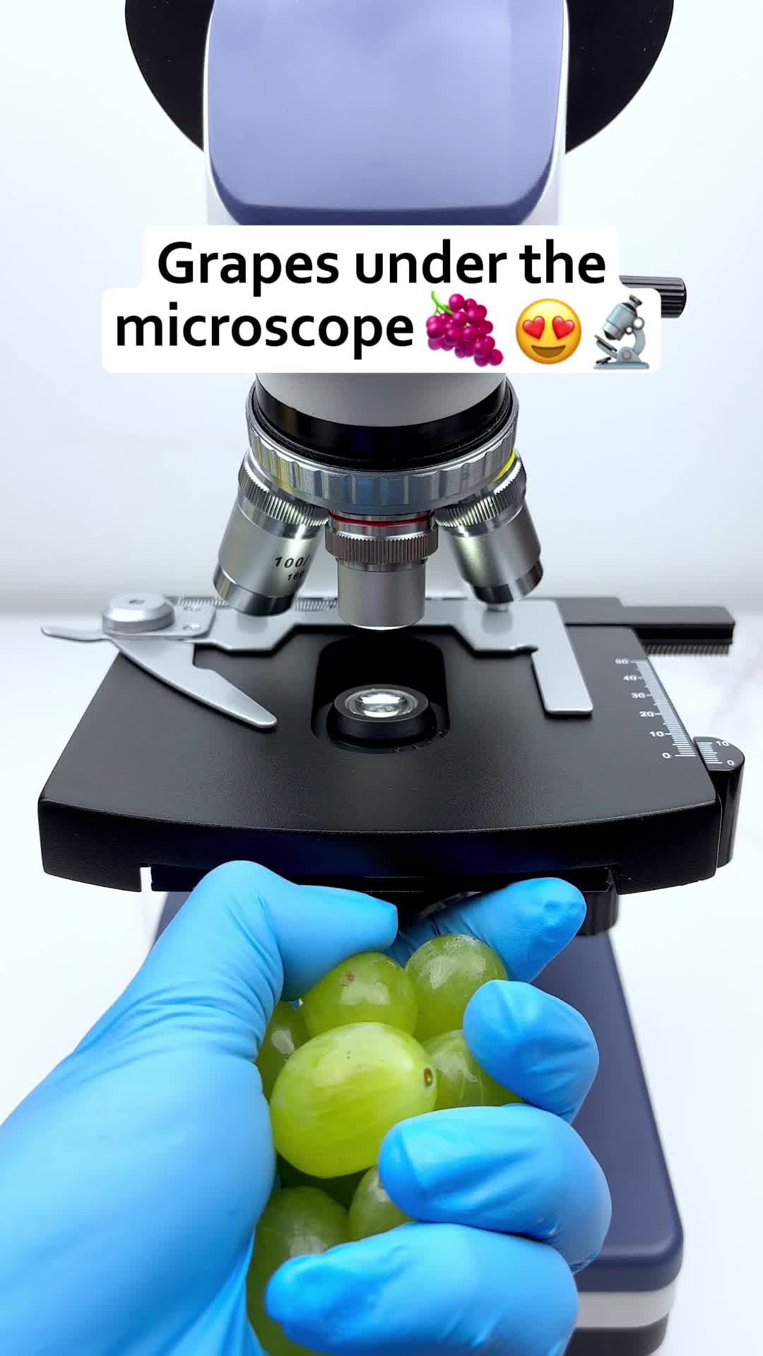 @MicroMagic6