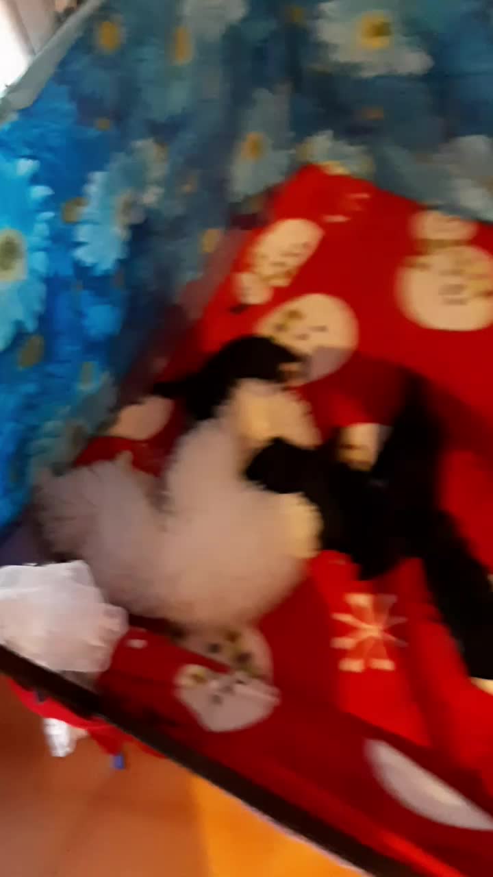 @nadia lasagni