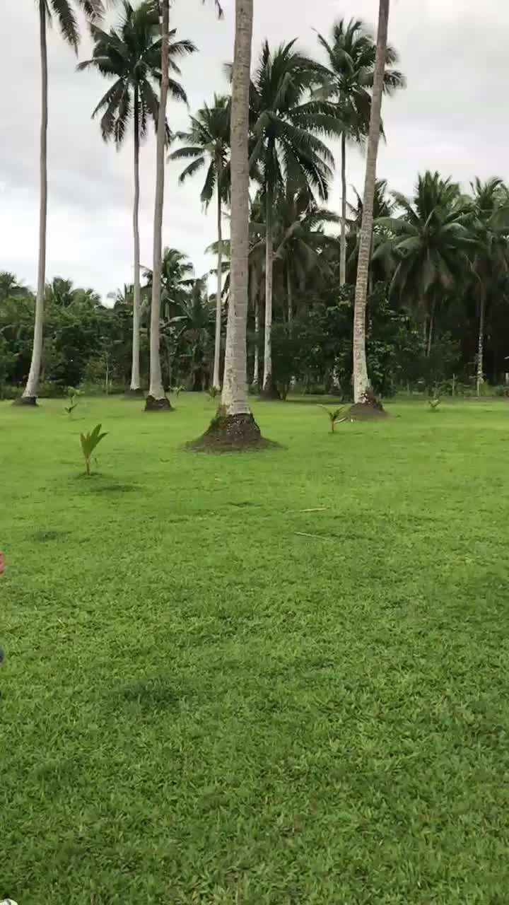 @Win Tamayo