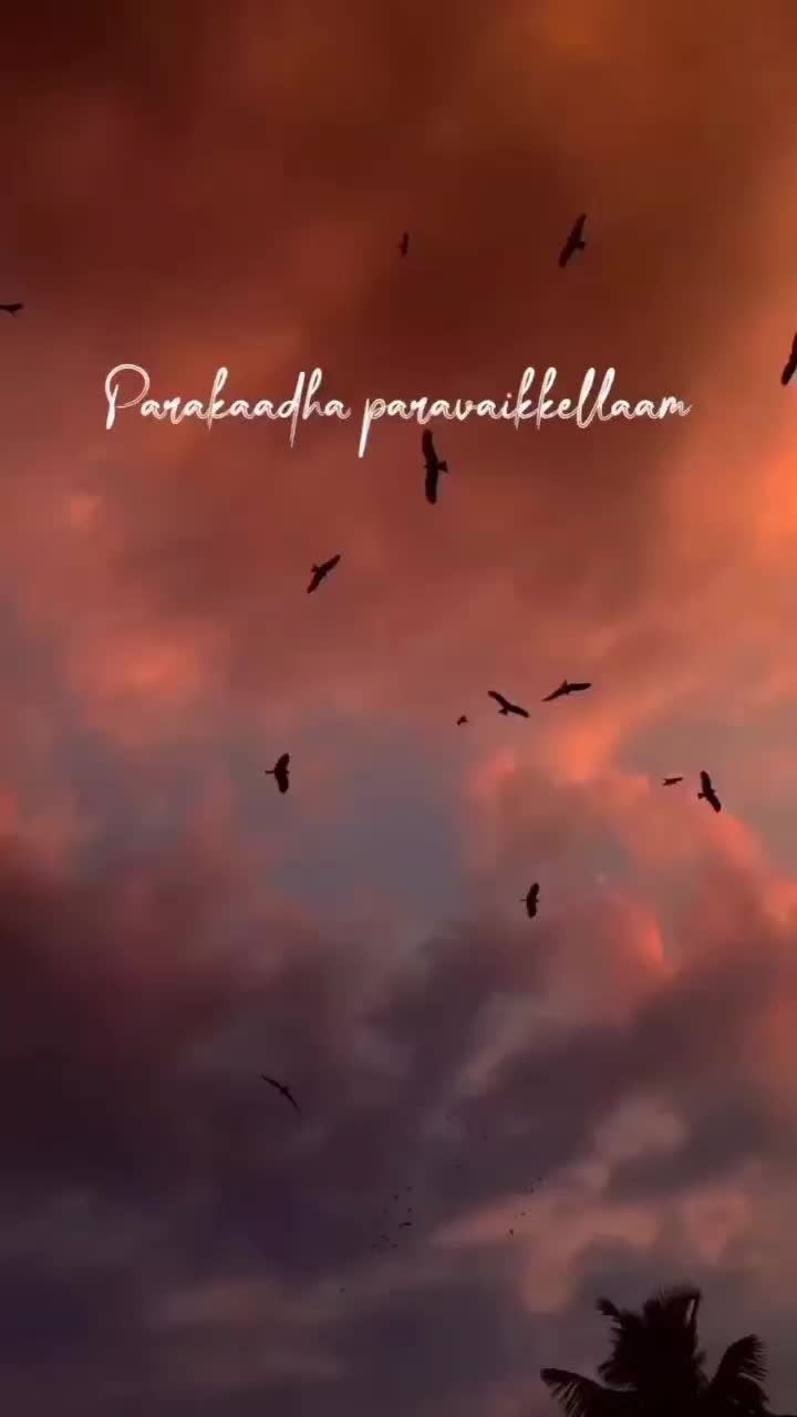 @VIKA🤍