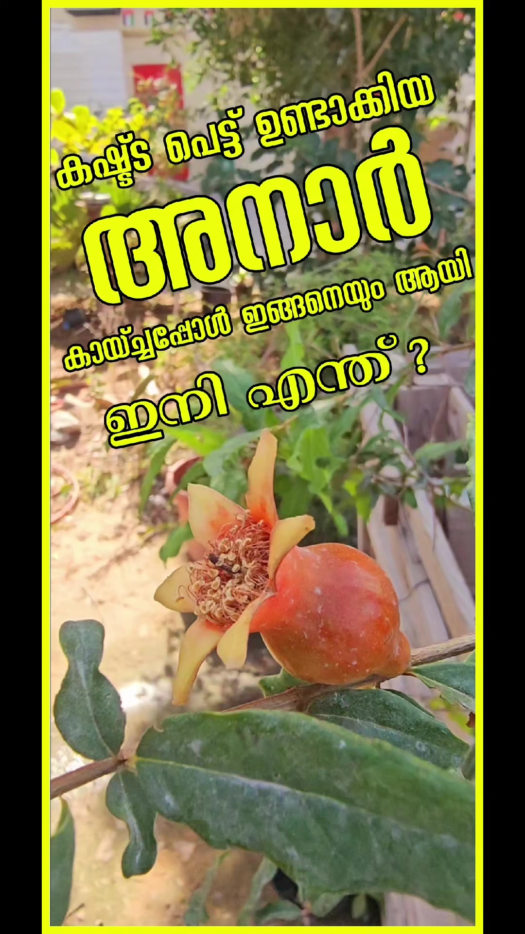 @M M Aslam Ovungal