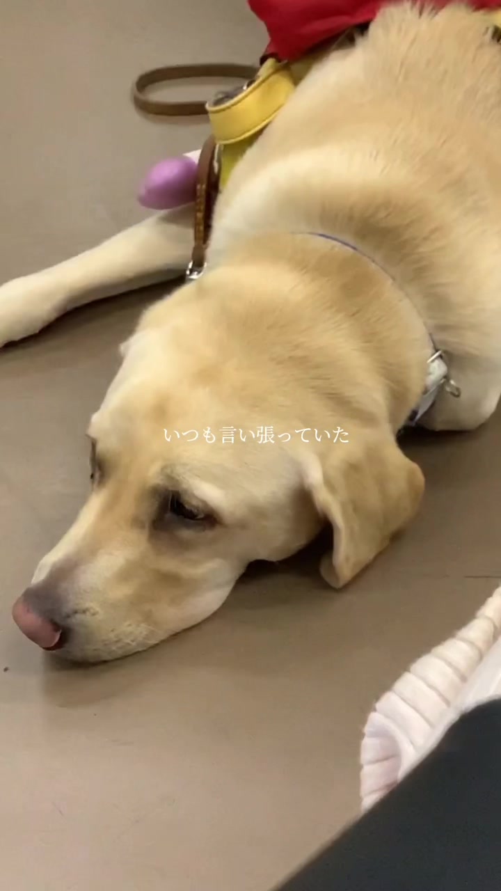 @北野りお