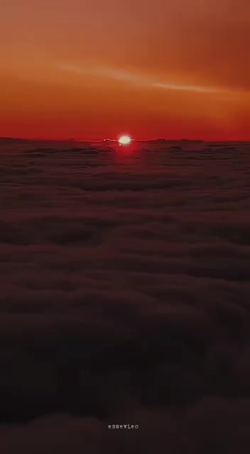 @🌝❤