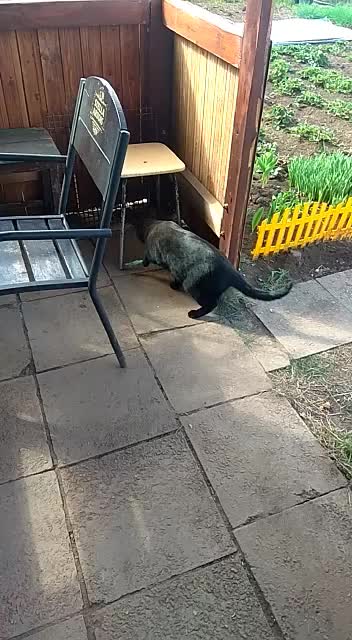 @Инзилечка